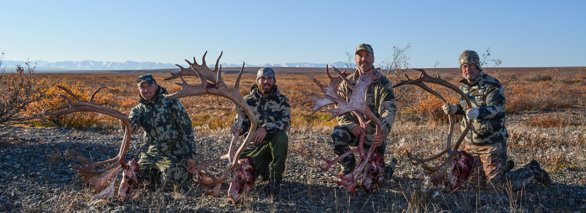 Alaska Caribou Lineup