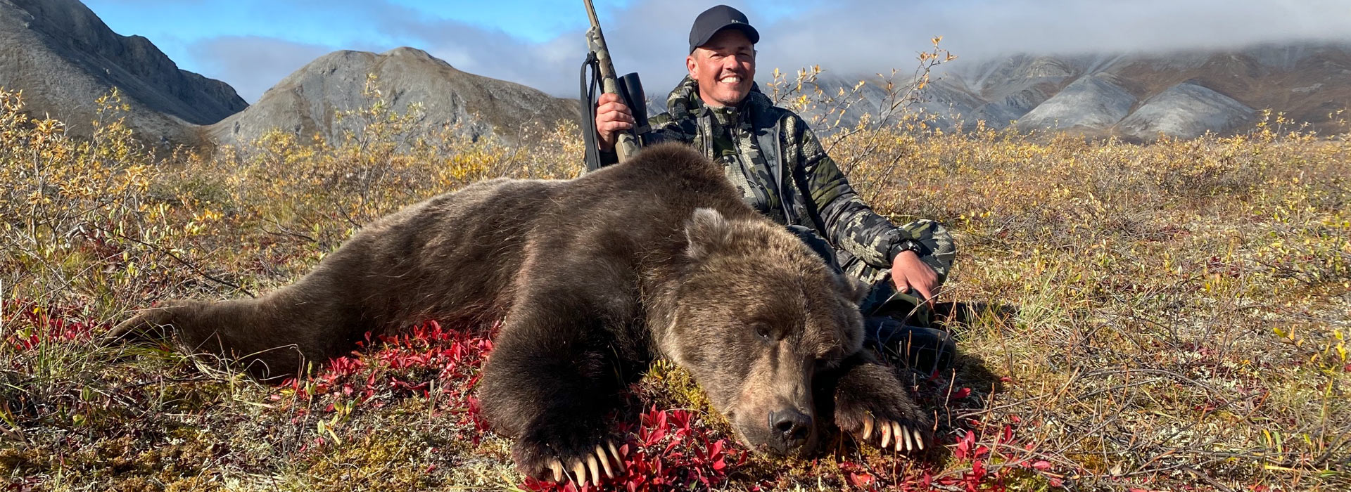 Arctic Grizzly
